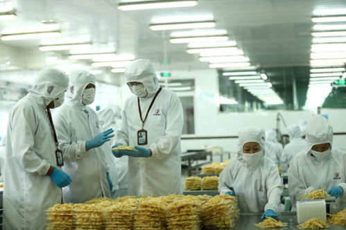 檢測(cè)服務(wù)為翼，助力山東即墨企業(yè)振翅高飛